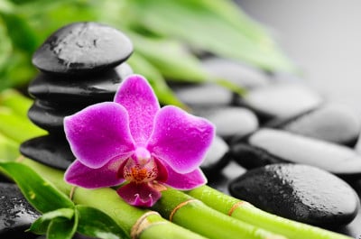 Feng Shui Office Design – Using a Zen Color Palate