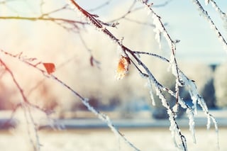 Winterizing your Home